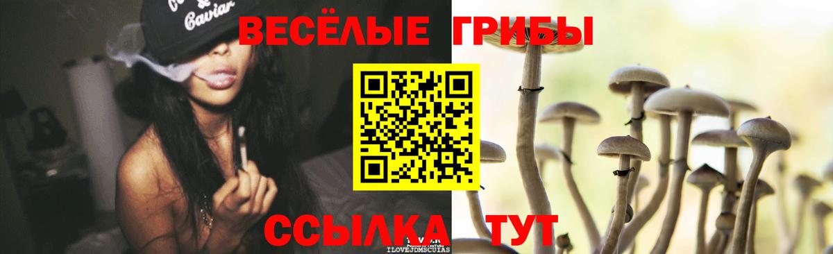 Галлюциногенные грибы Psilocybine cubensis  Вход с VPN  Большой Камень 